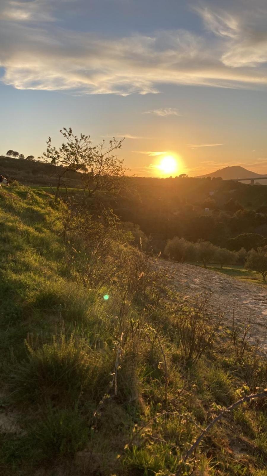 Case Vacanza Villa Bentivoglio Piazza Armerina Buitenkant foto